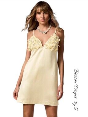 Boston Proper 3D Floral Applique A-Line Dress Afterglow Pale Banana Sz 12